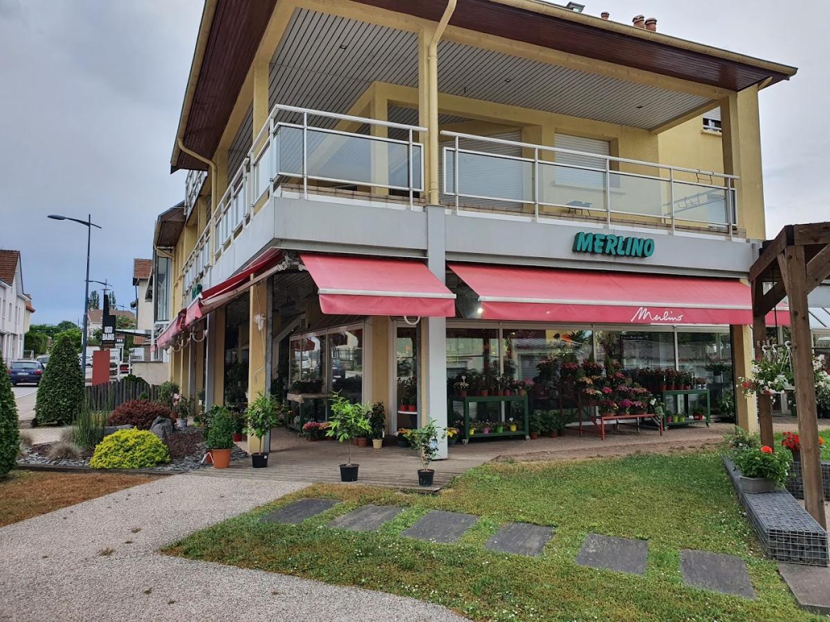 Merlino Fleurs by Sandra - Fleuriste Golbey