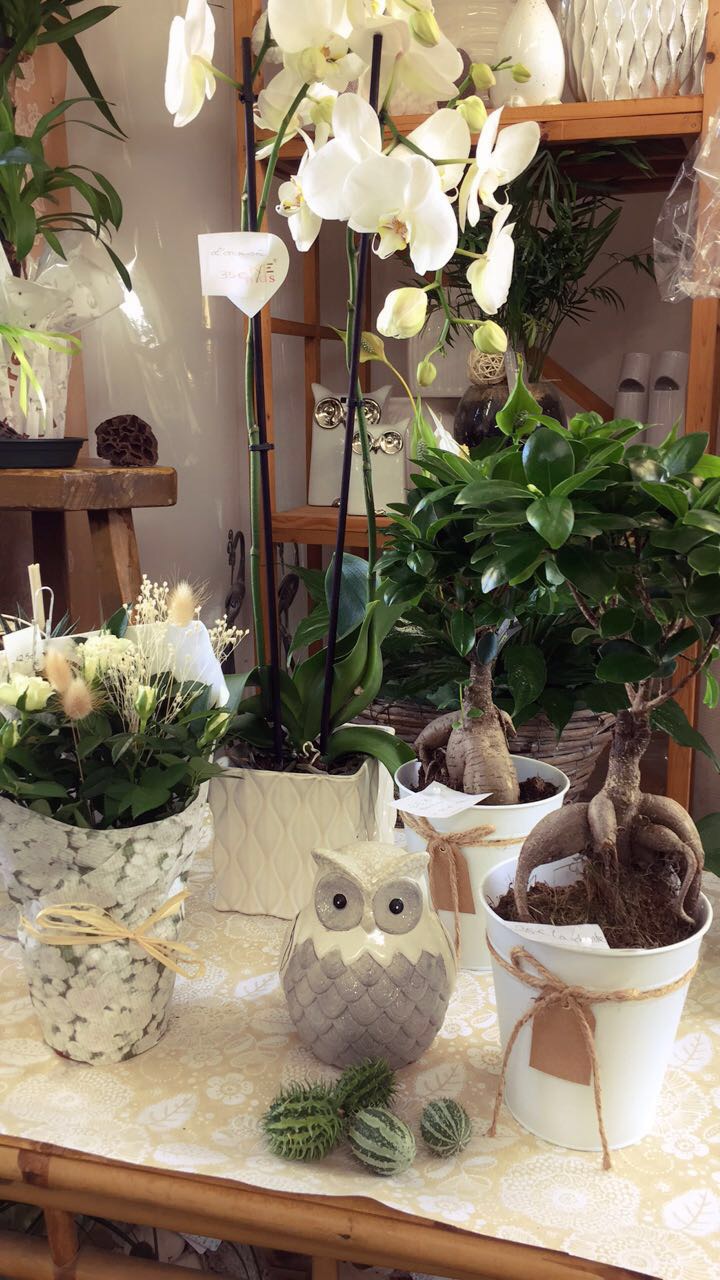 PLOARE FLEURS artisan fleuriste