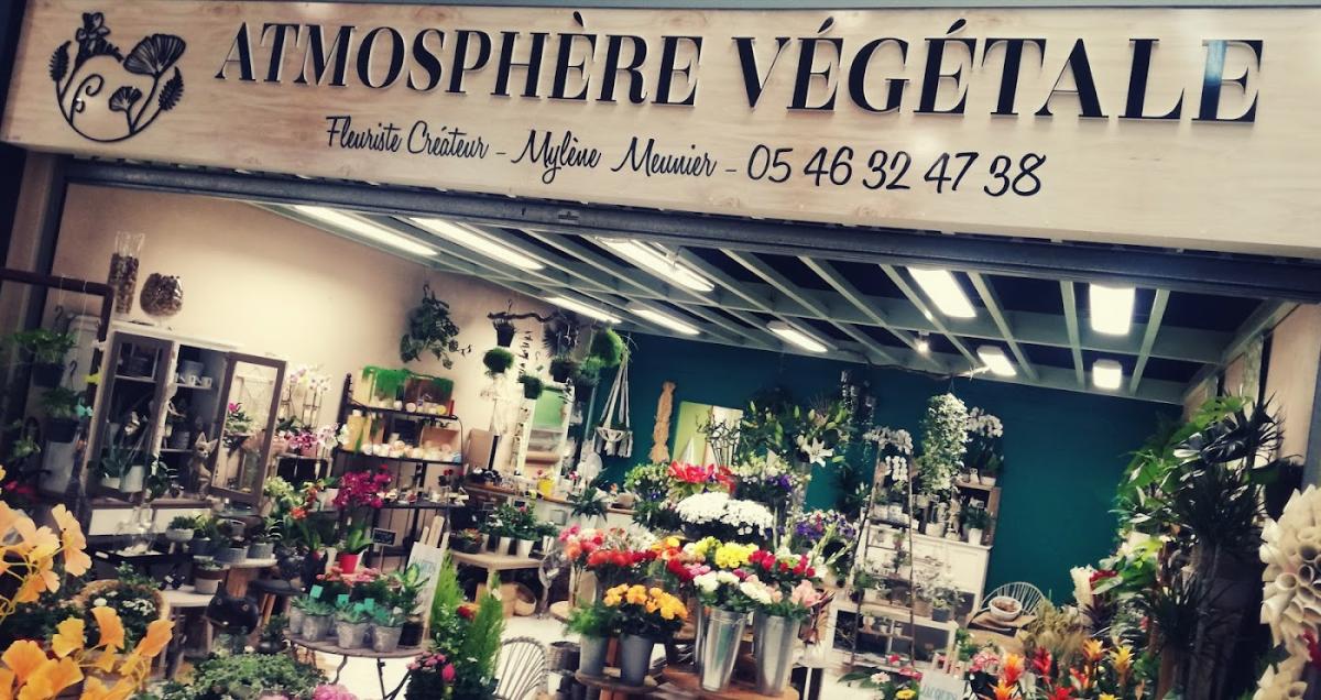 Atmosphere vegetale