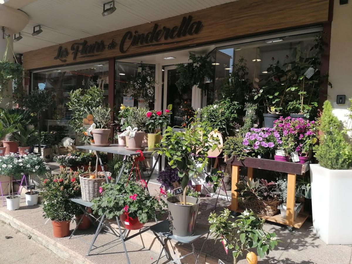 Les fleurs de Cinderella