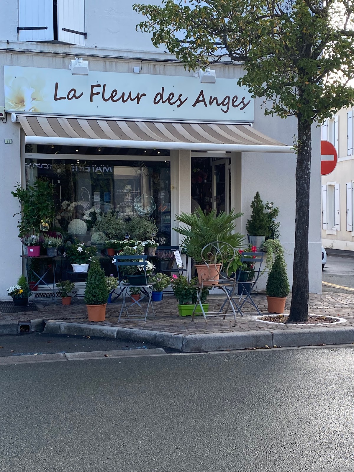 La Fleur des Anges
