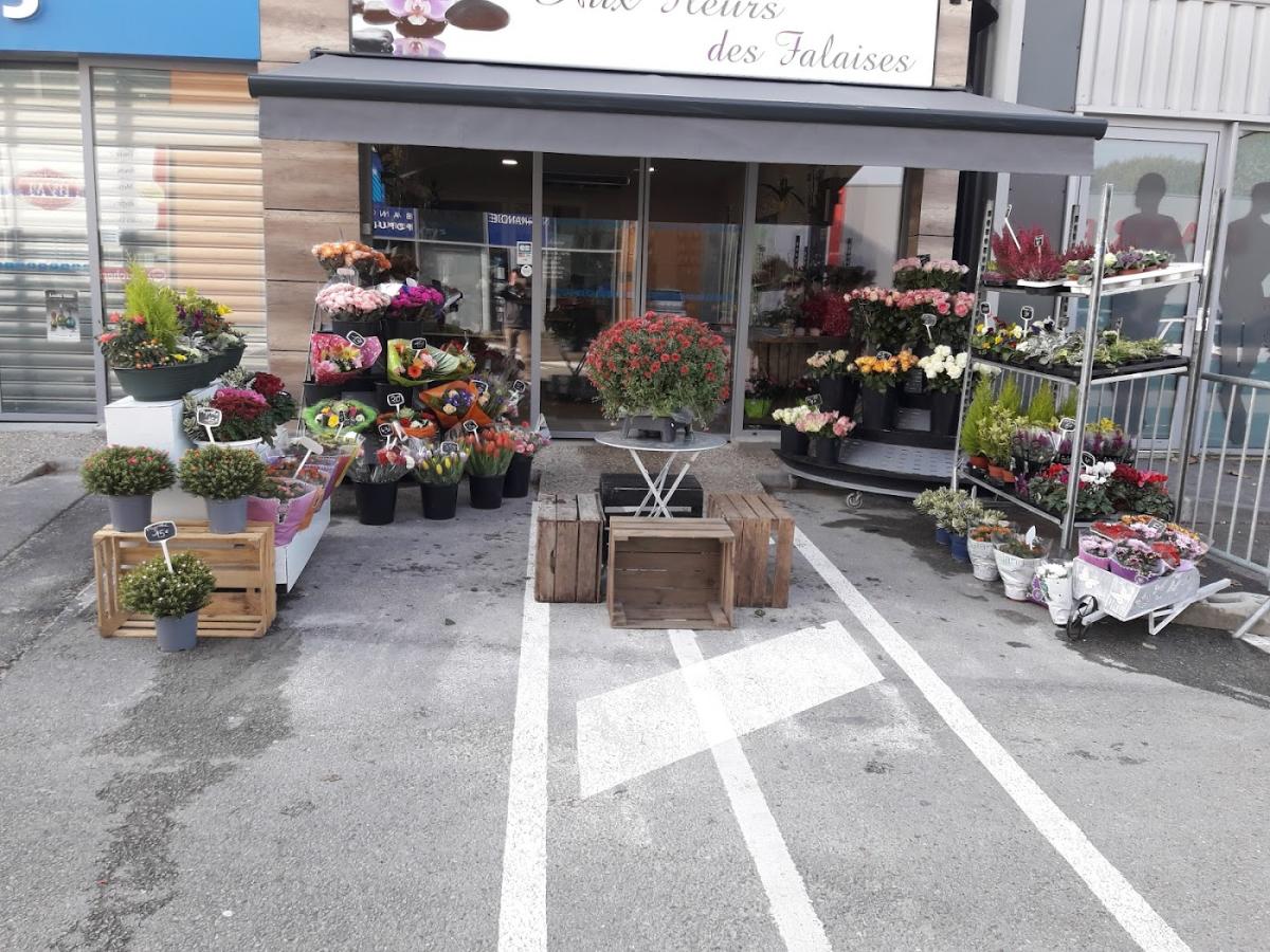 Aux Fleurs Des Falaises