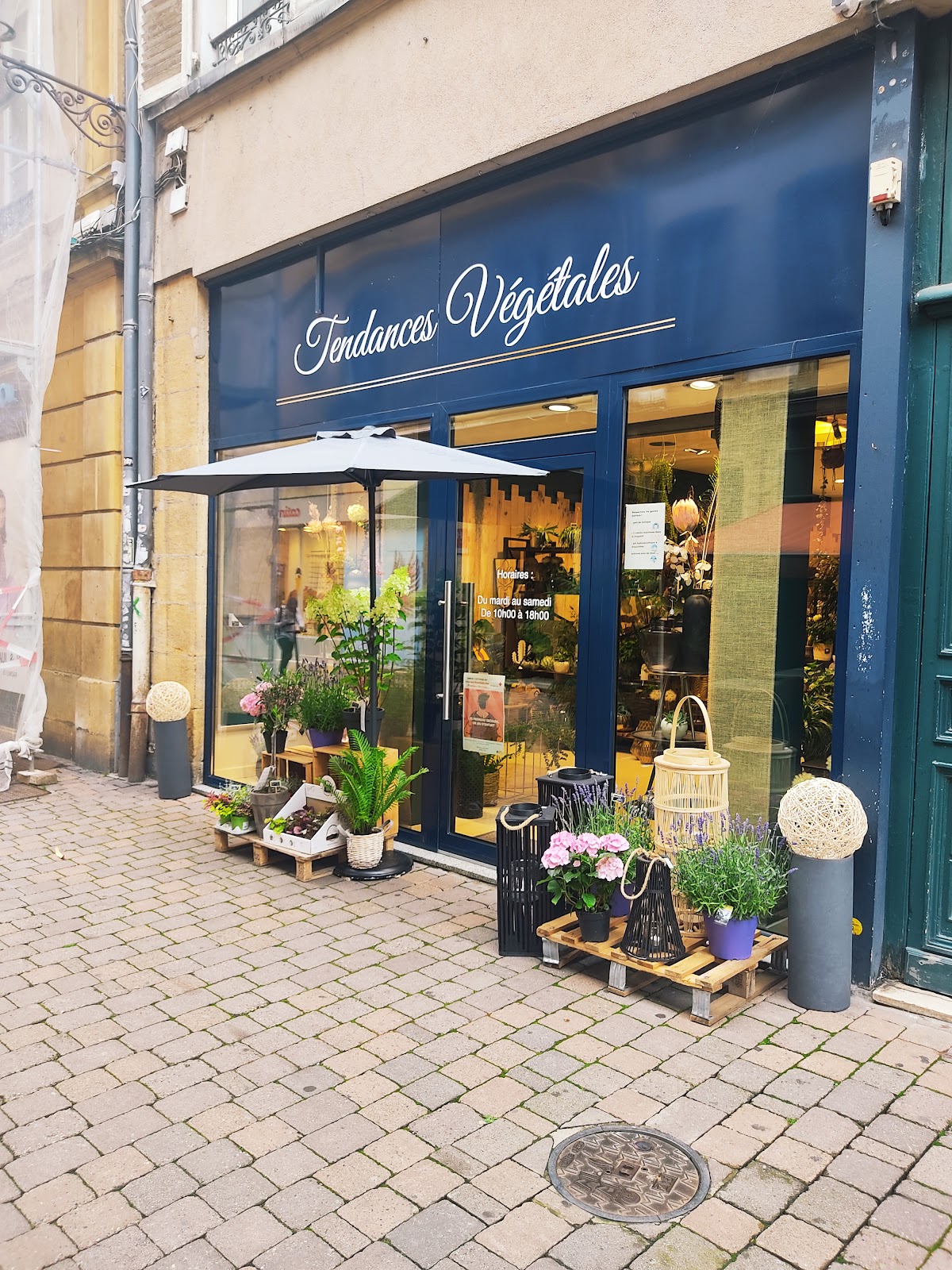 Tendances végétales