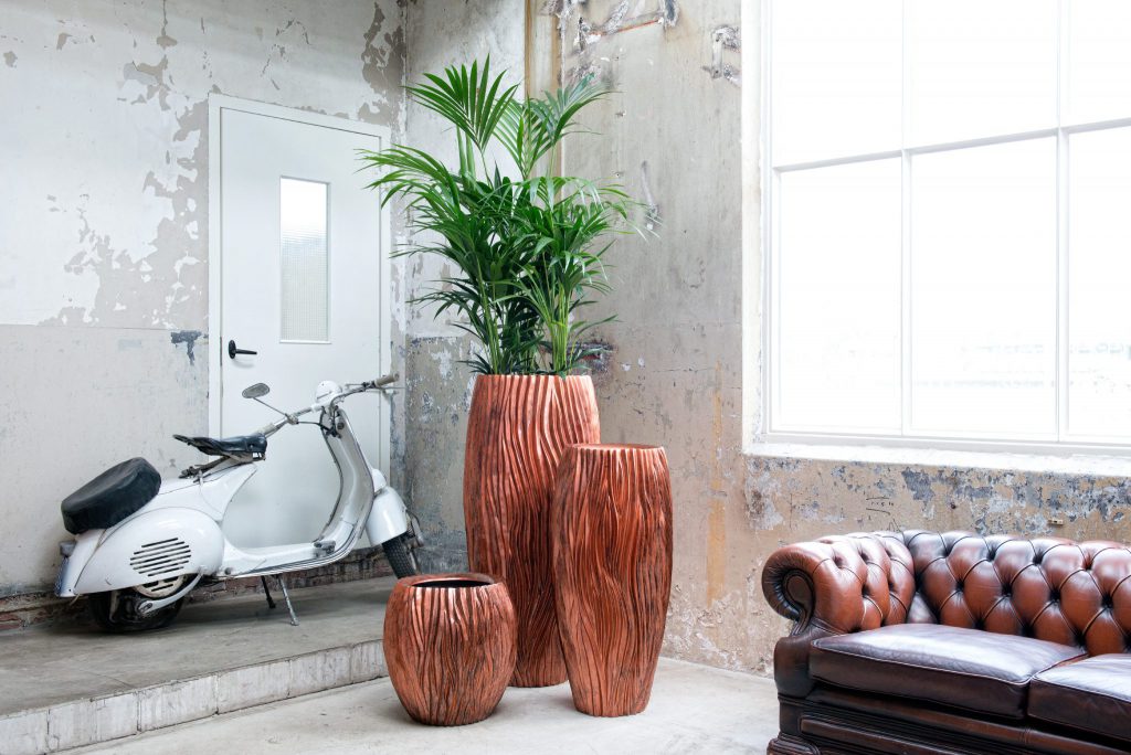 GREEN & GREEN : Contrat d'Entretien et Location de Plantes Mur Végétal et Floral Bouquets d'Accueil