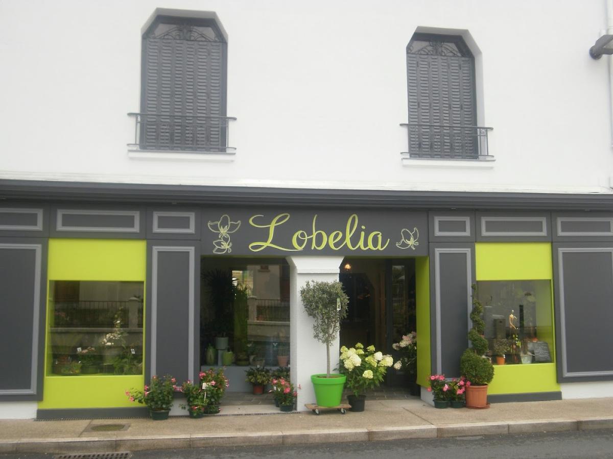 Lobélia, Artisan Fleuriste