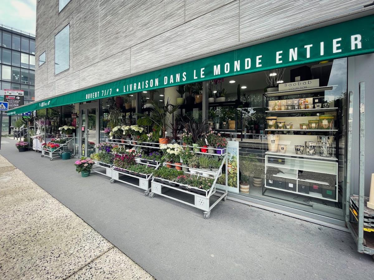 Issy Fleurs - Bougies Baobab - Fleuriste