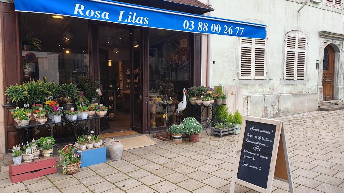 Rosa Lilas Artisan Fleuriste