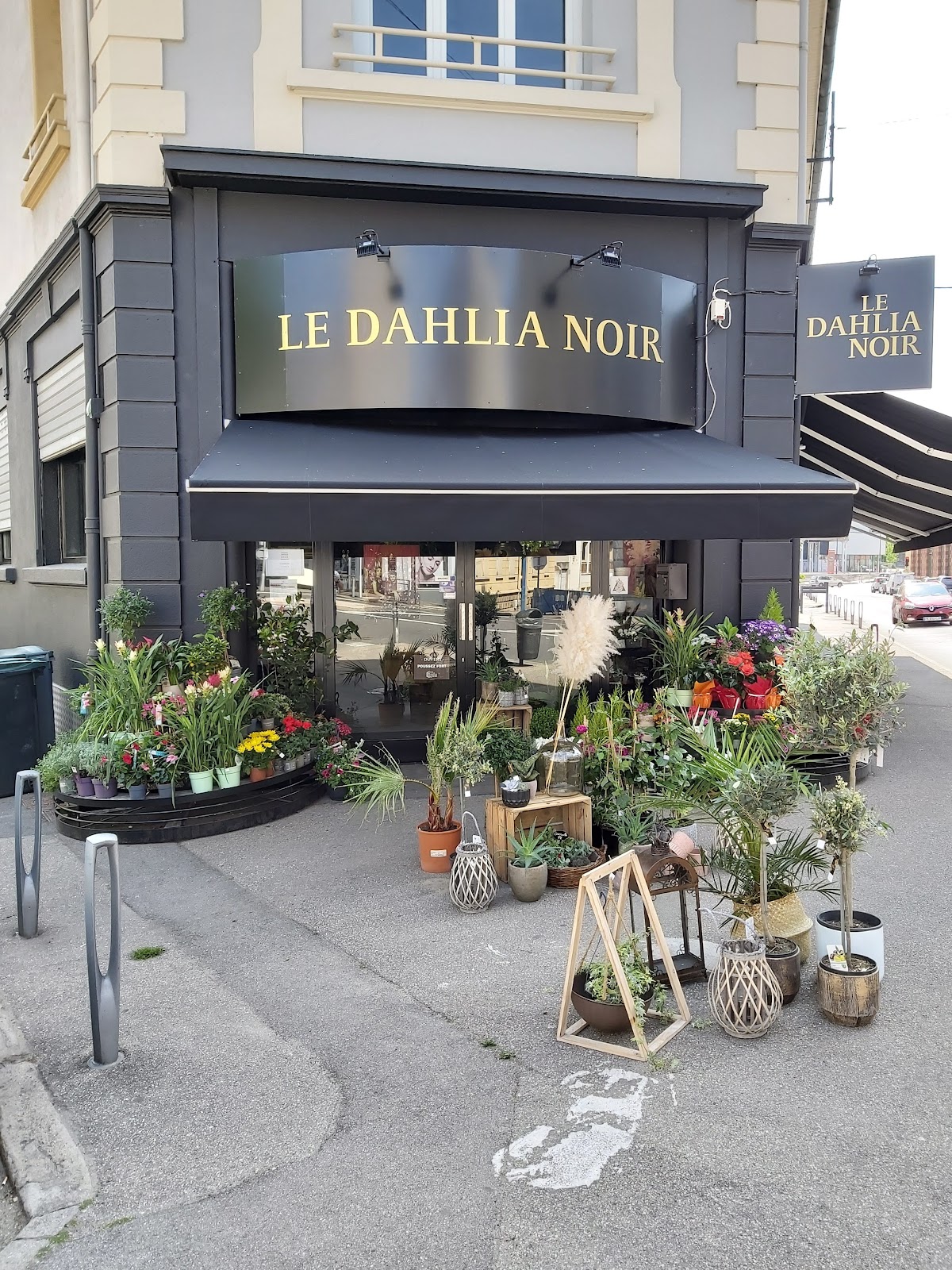 Fleuriste Le Dahlia Noir