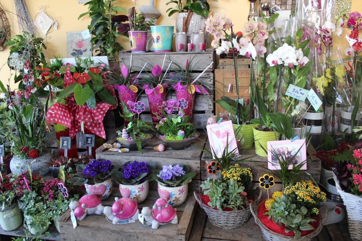 La Forêt M'a Dit...