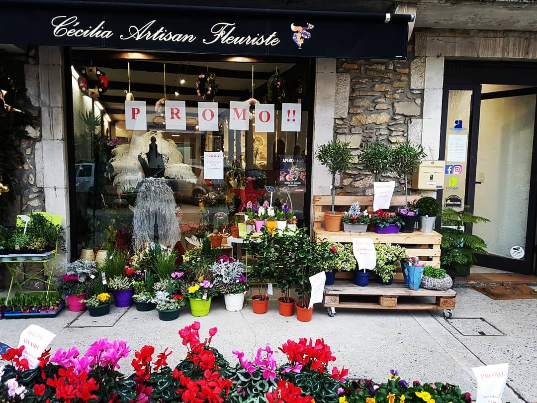 Cécilia Artisan Fleuriste