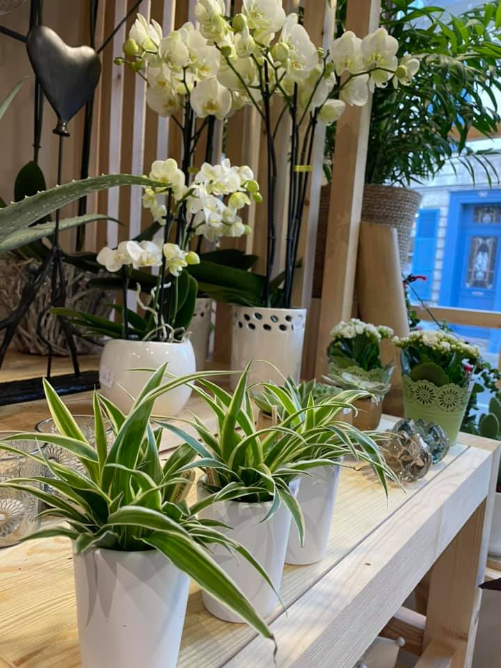 Céline Art et Fleurs