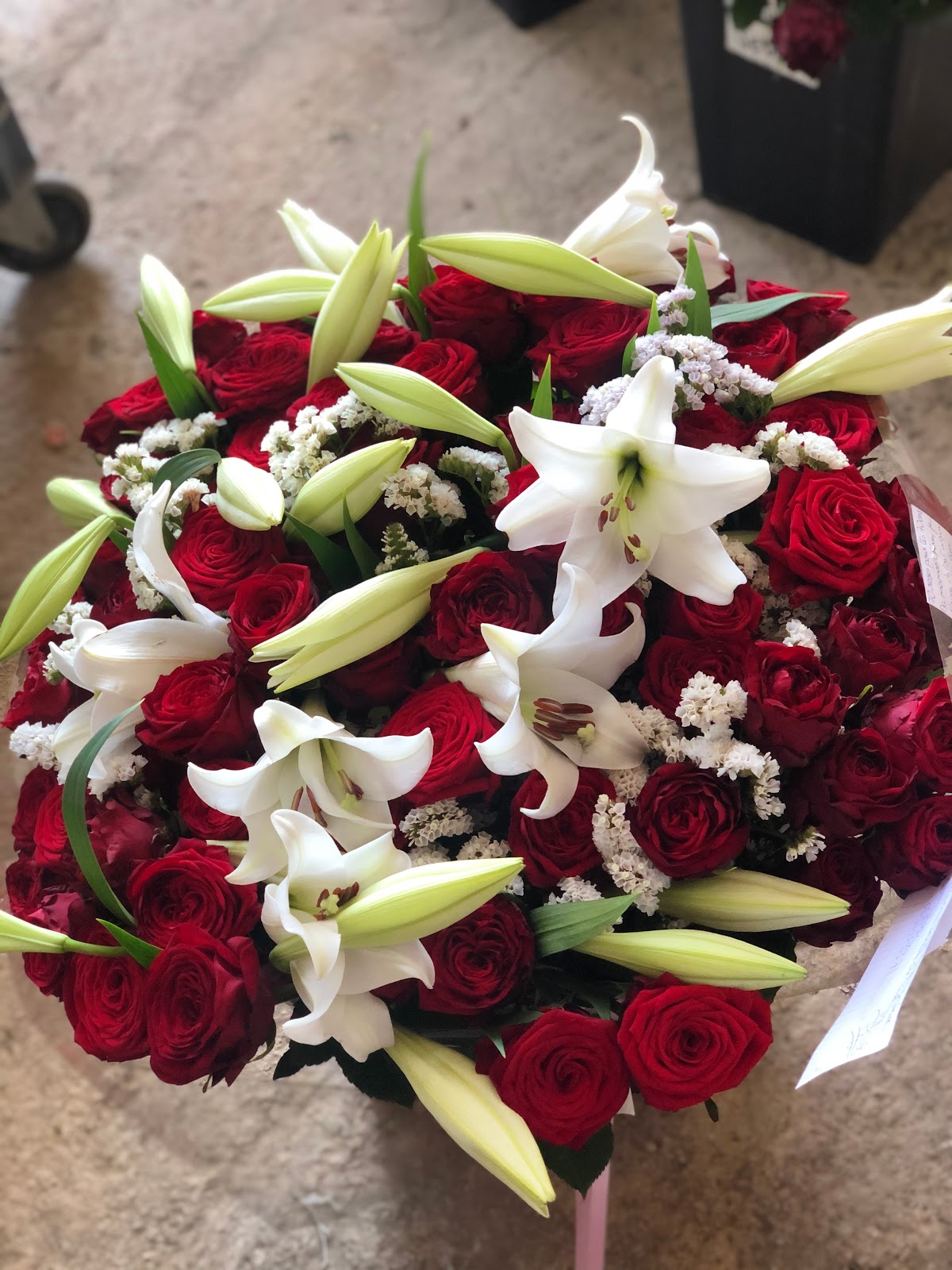 Les Mille et Une Roses