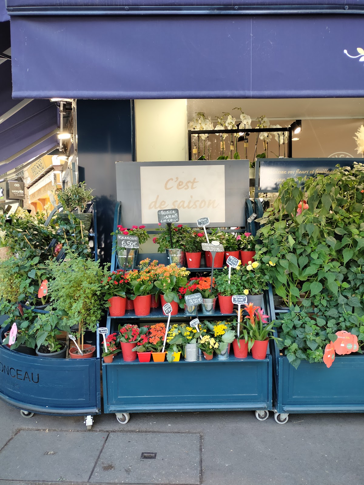 Monceau Fleurs