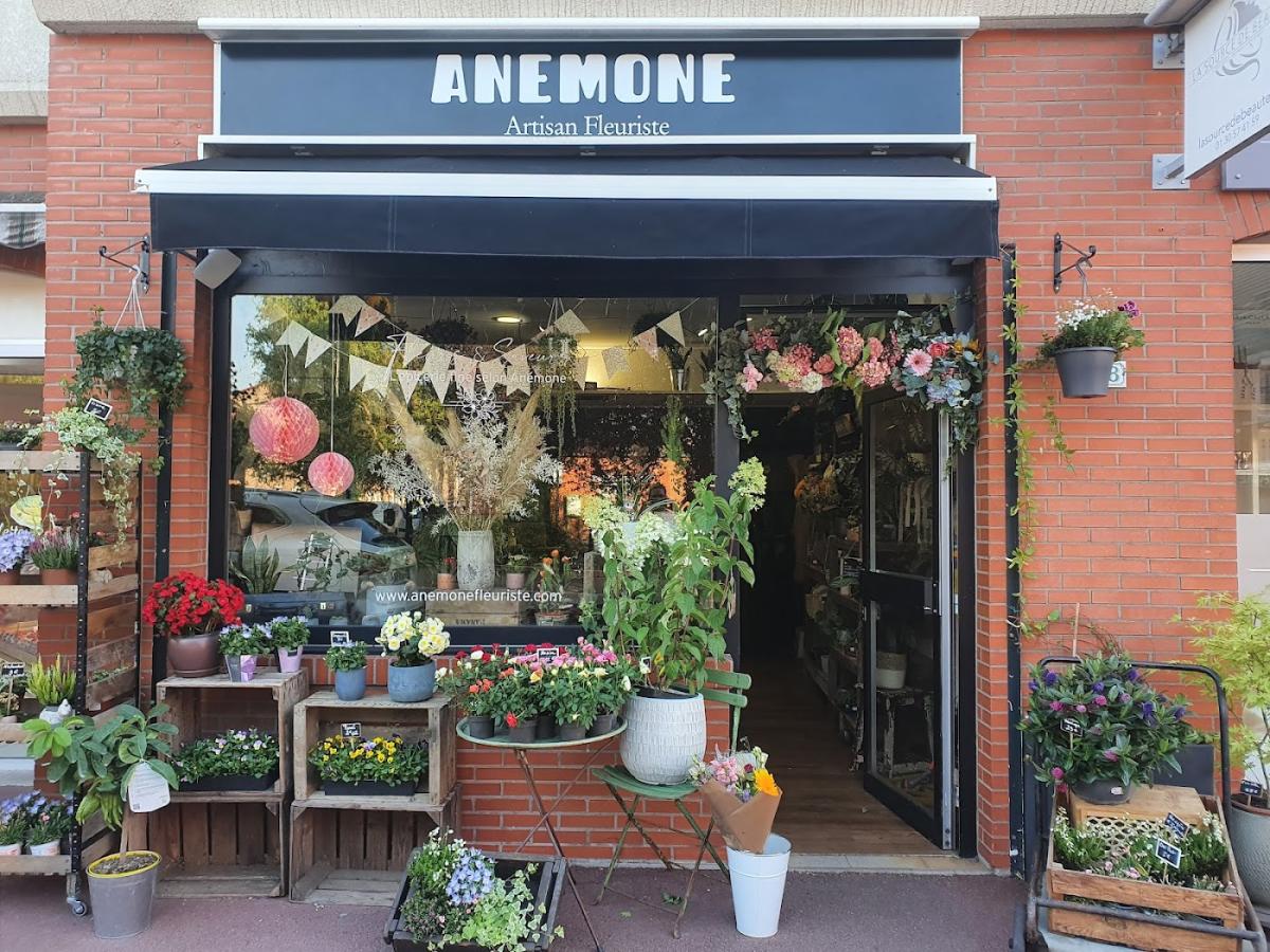 Anémone