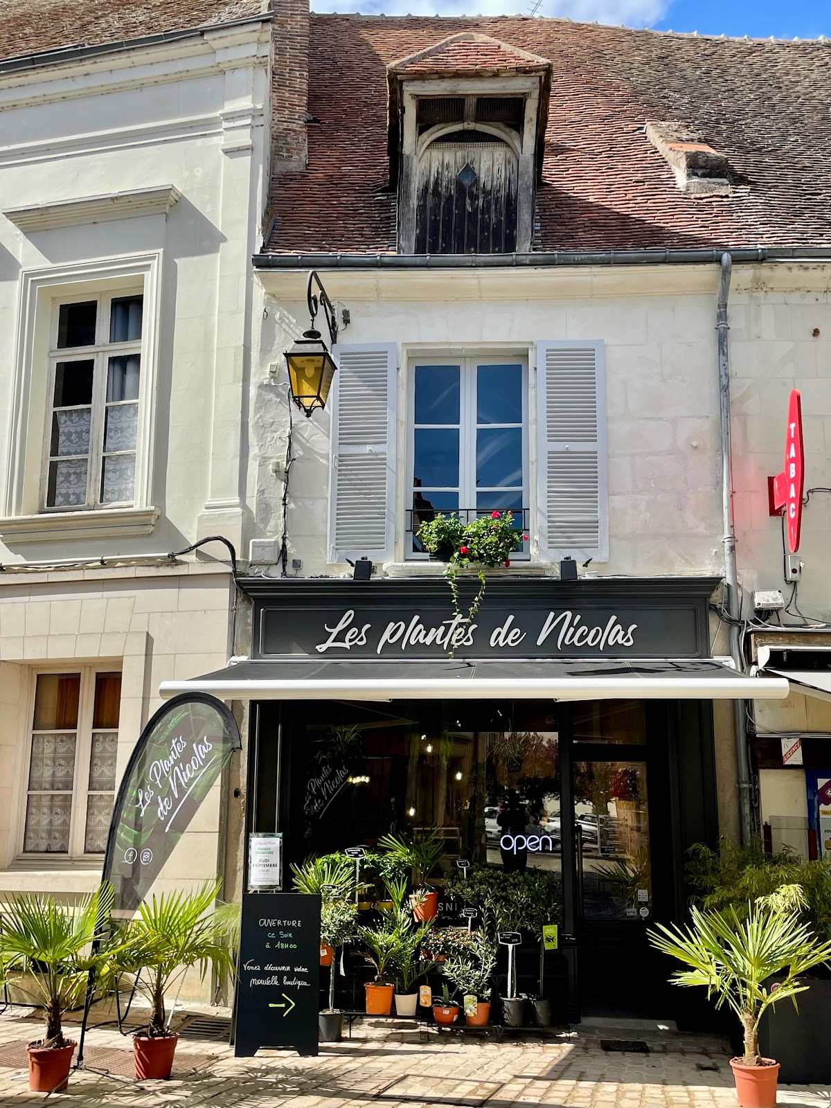 Les plantes de Nicolas