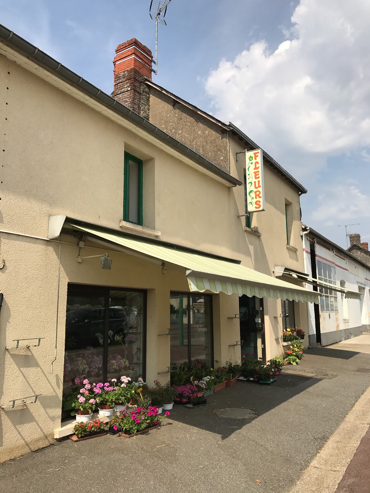 Marguerite & Coquelicot