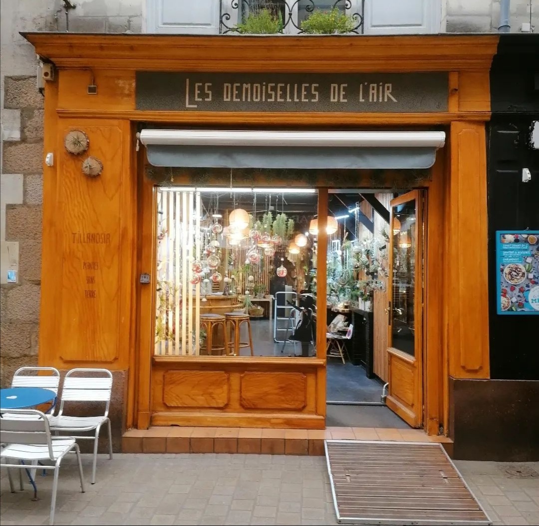 Les Demoiselles de l'Air