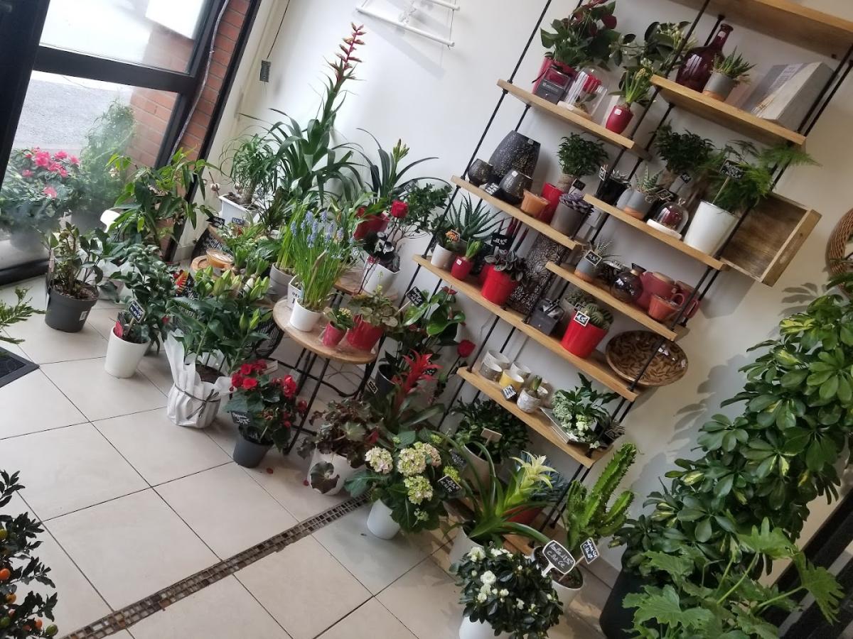 Le jardin de Lauraly