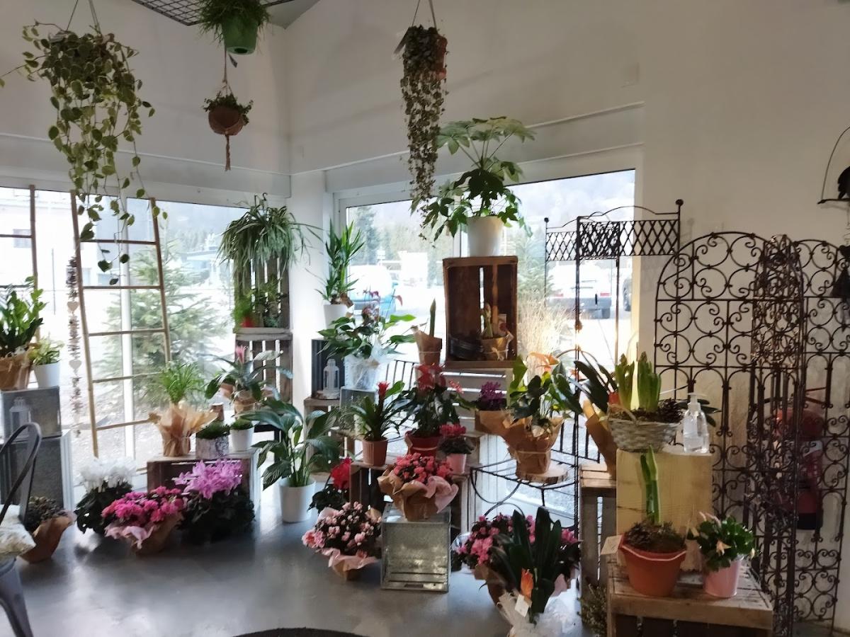 Nature en Fleurs, Fleuriste Aiguebelle - Val d'Arc