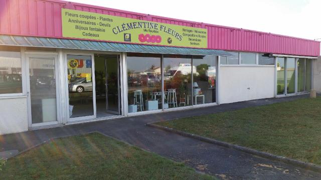 Clémentine Fleurs, Artisan Fleuriste
