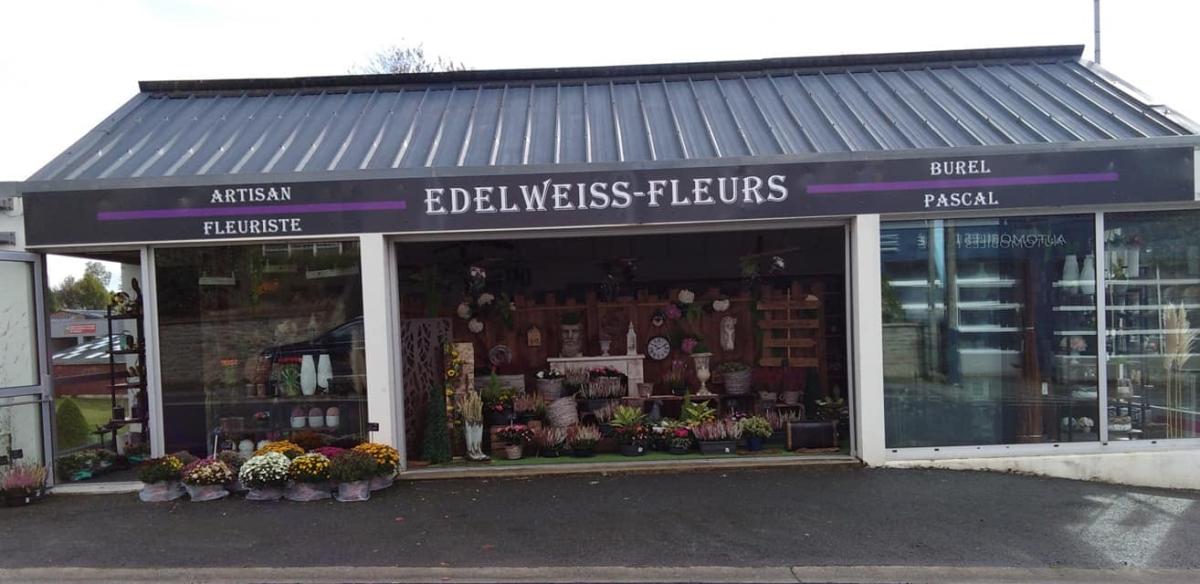 Edelweiss-Fleurs