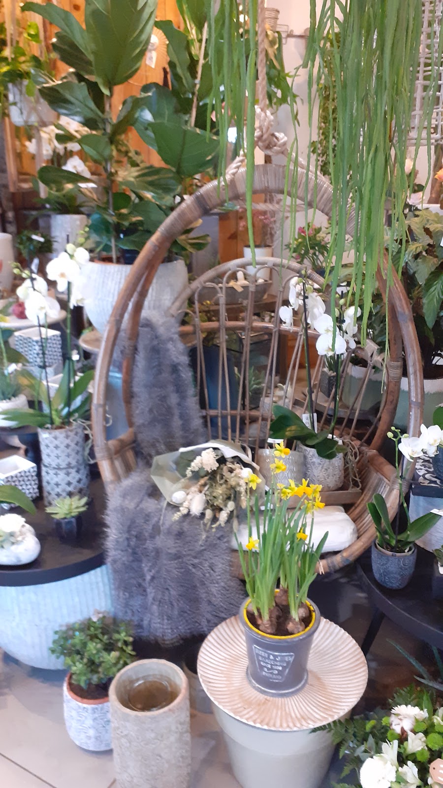 A l'ombre Des Tilleuls