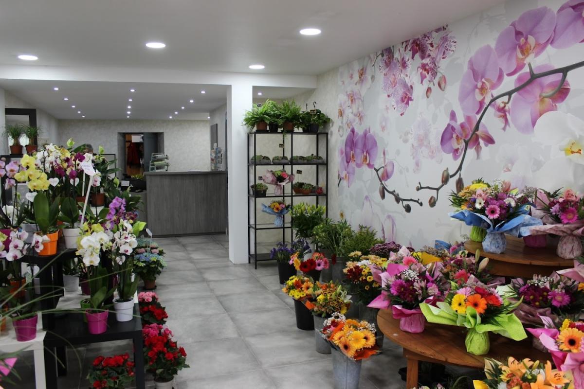 Maison Borel - Fleurs Décor