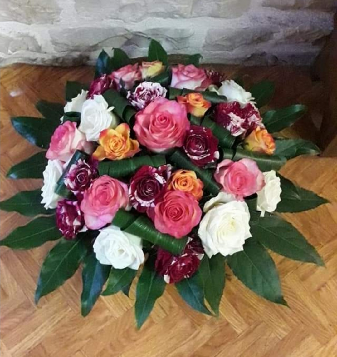 Decourt Celine l l'aphelandra