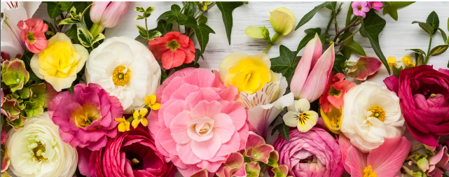 Ramstein Zaid El Khil Armelle