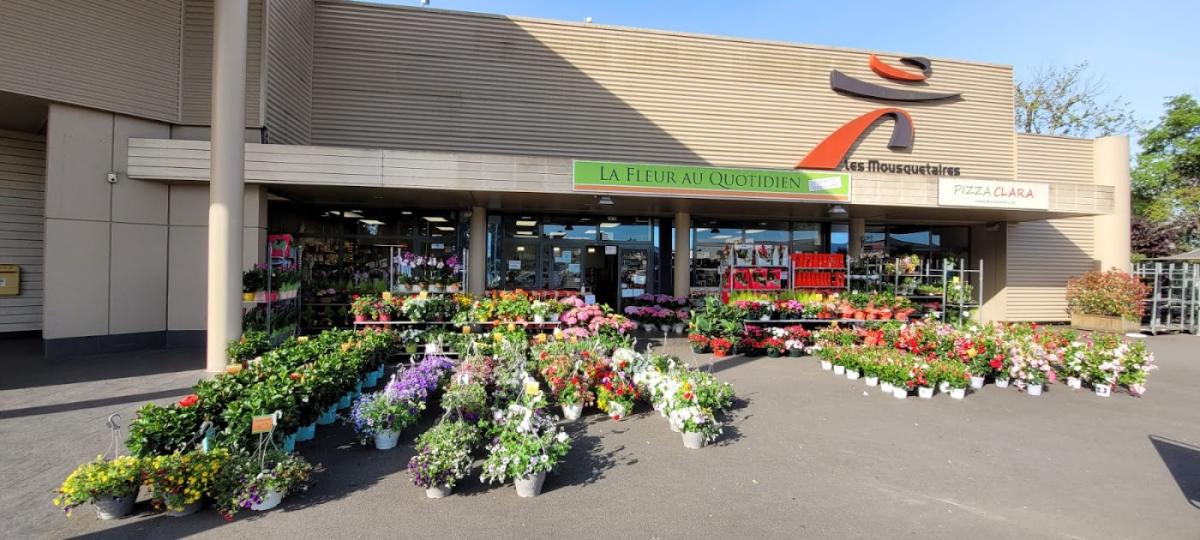 La fleur au quotidien