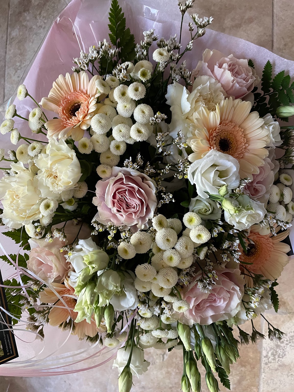 L'île aux fleurs de Dana'Lys