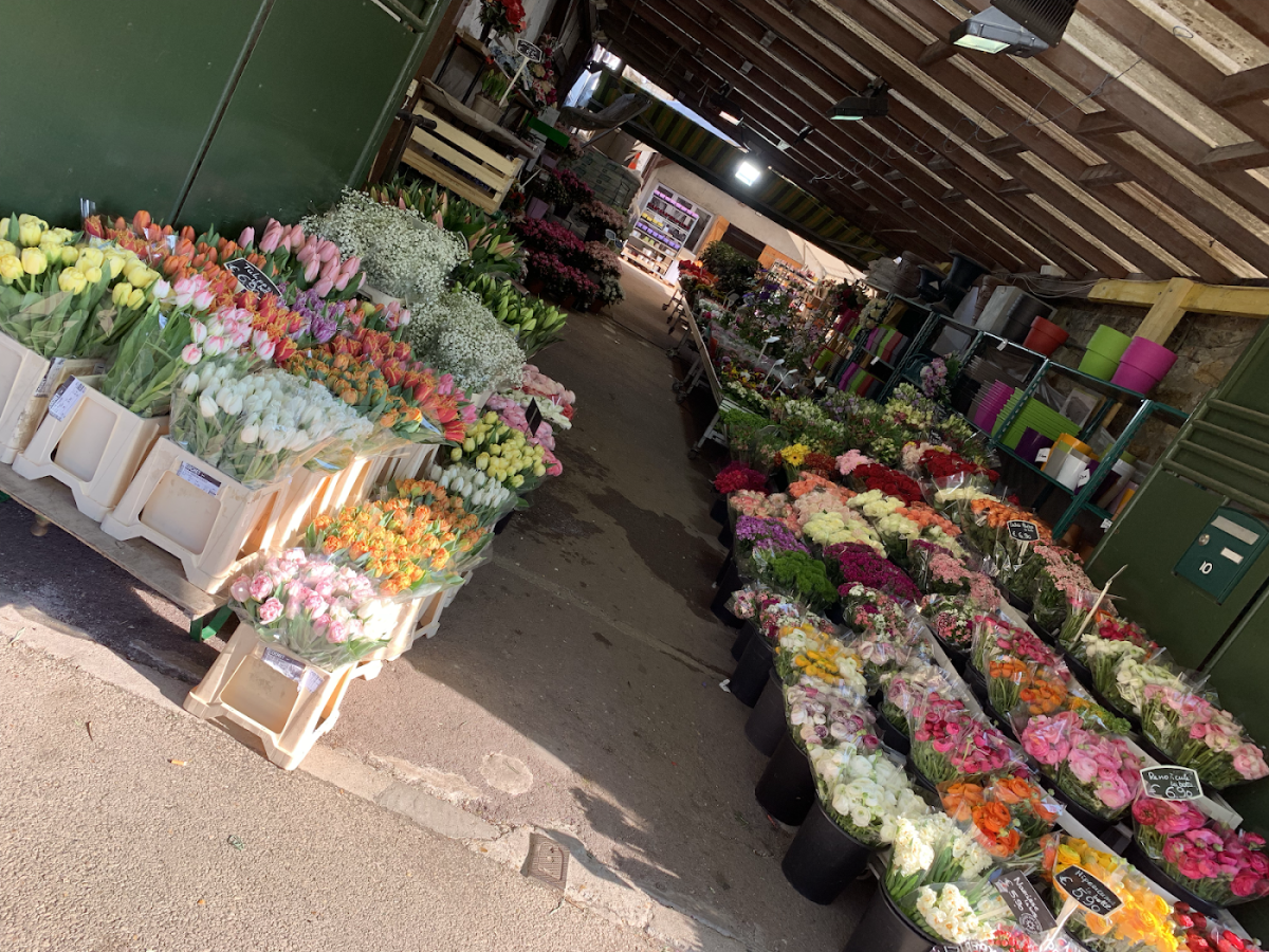 Flowers and Gardens