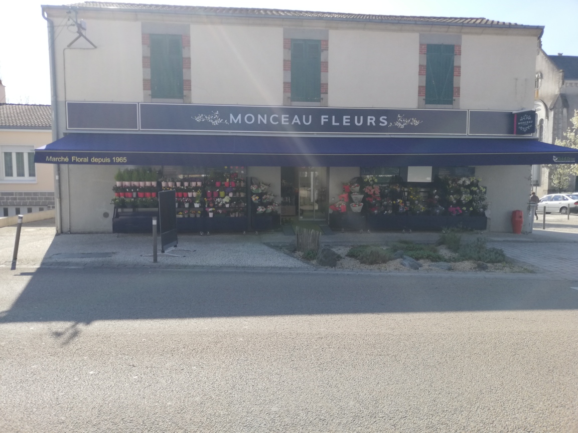 Monceau Fleurs