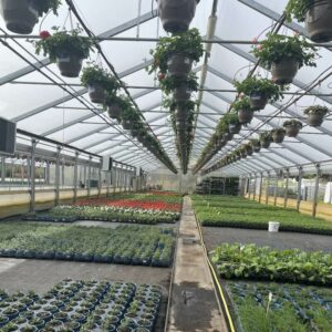 Les Jardins du Sonnenhof