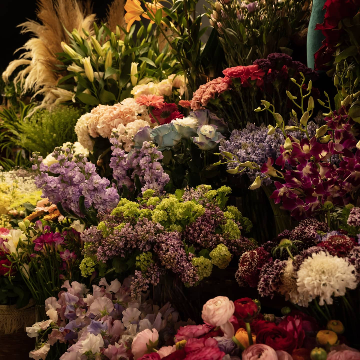 Fleuriste Ajaccio ByFLOX