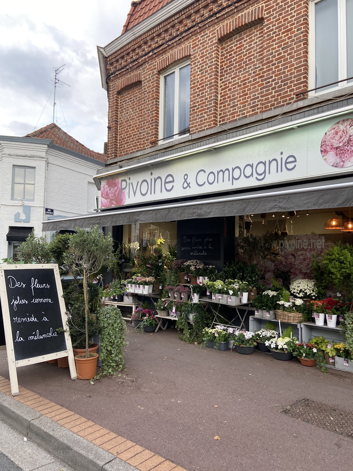 Fleuriste Pivoine & Compagnie