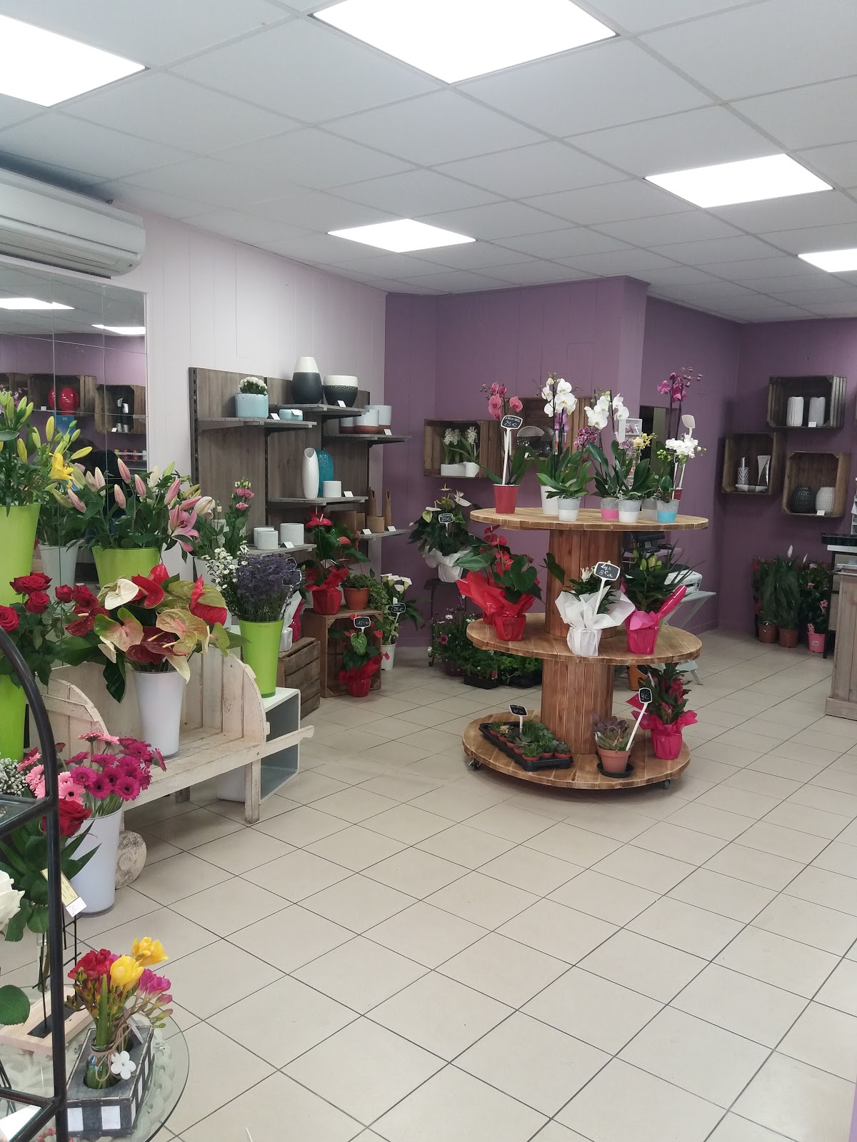 Chrys-Flor, artisan fleuriste 🌺