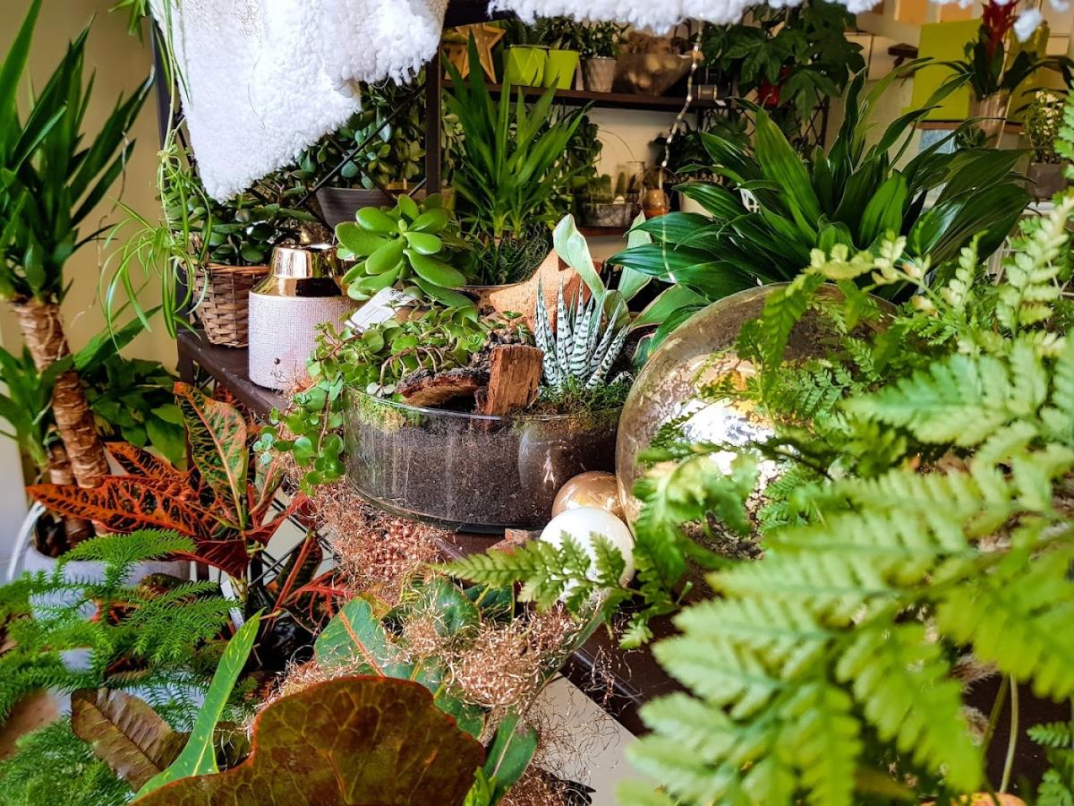 La Chaumière Fleurie