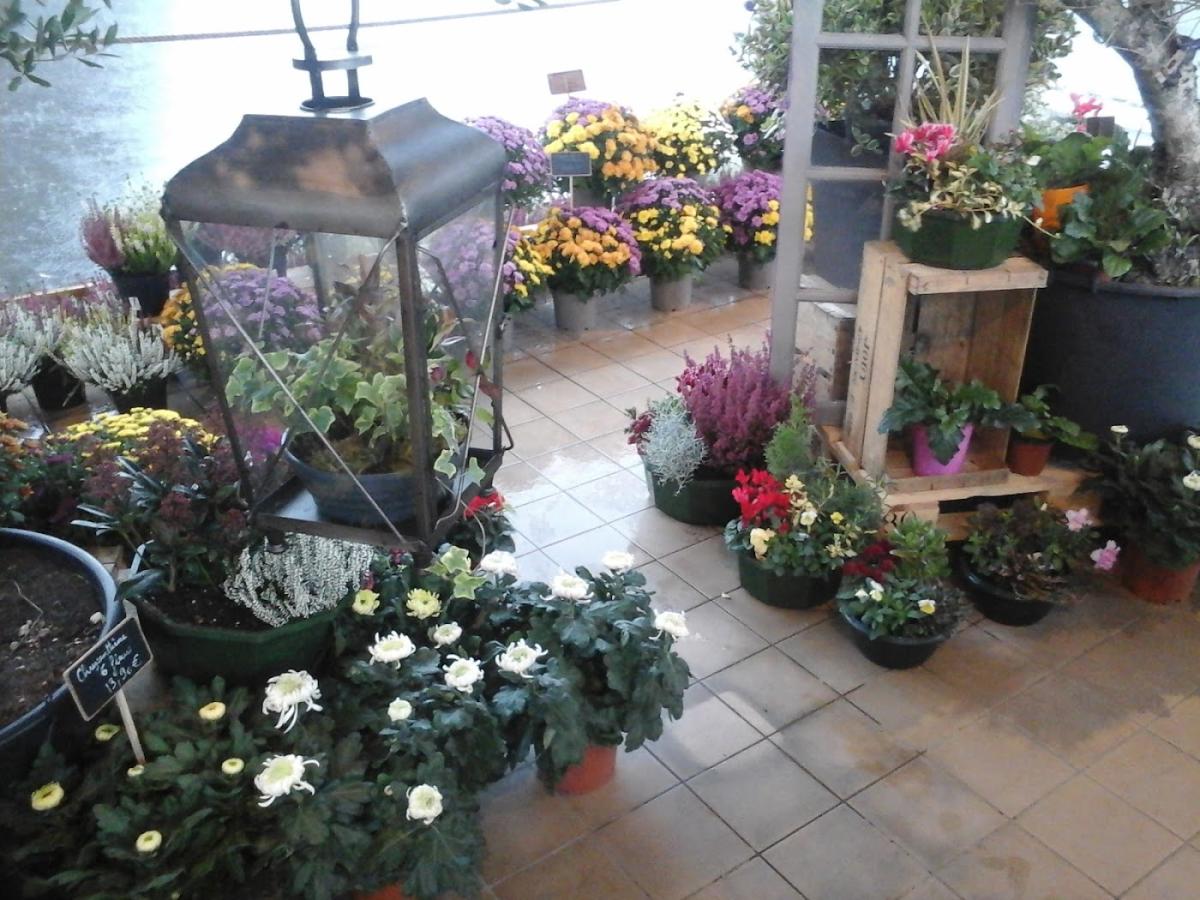 Vi.P. Artisan Fleuriste