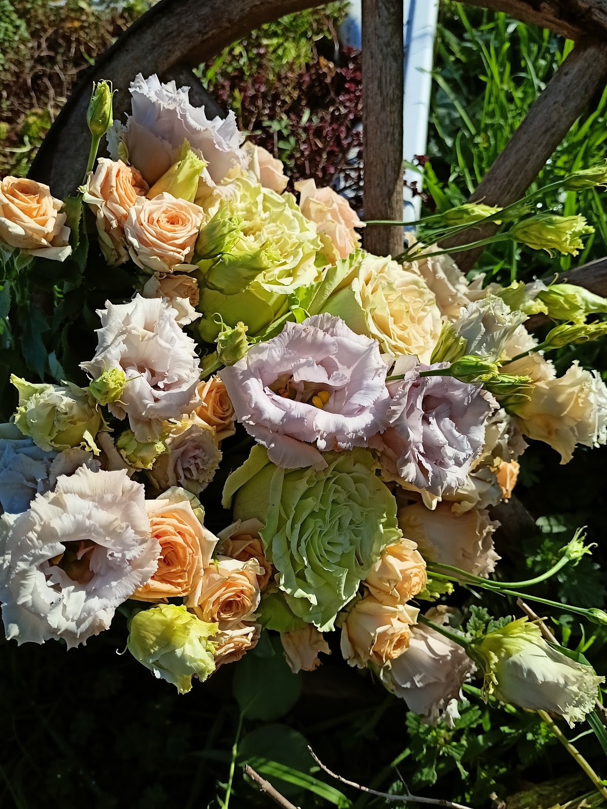 A L'Ombre Du Magnolia