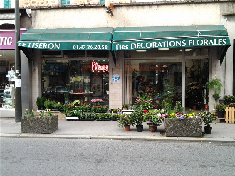 Le Liseron Fleurs