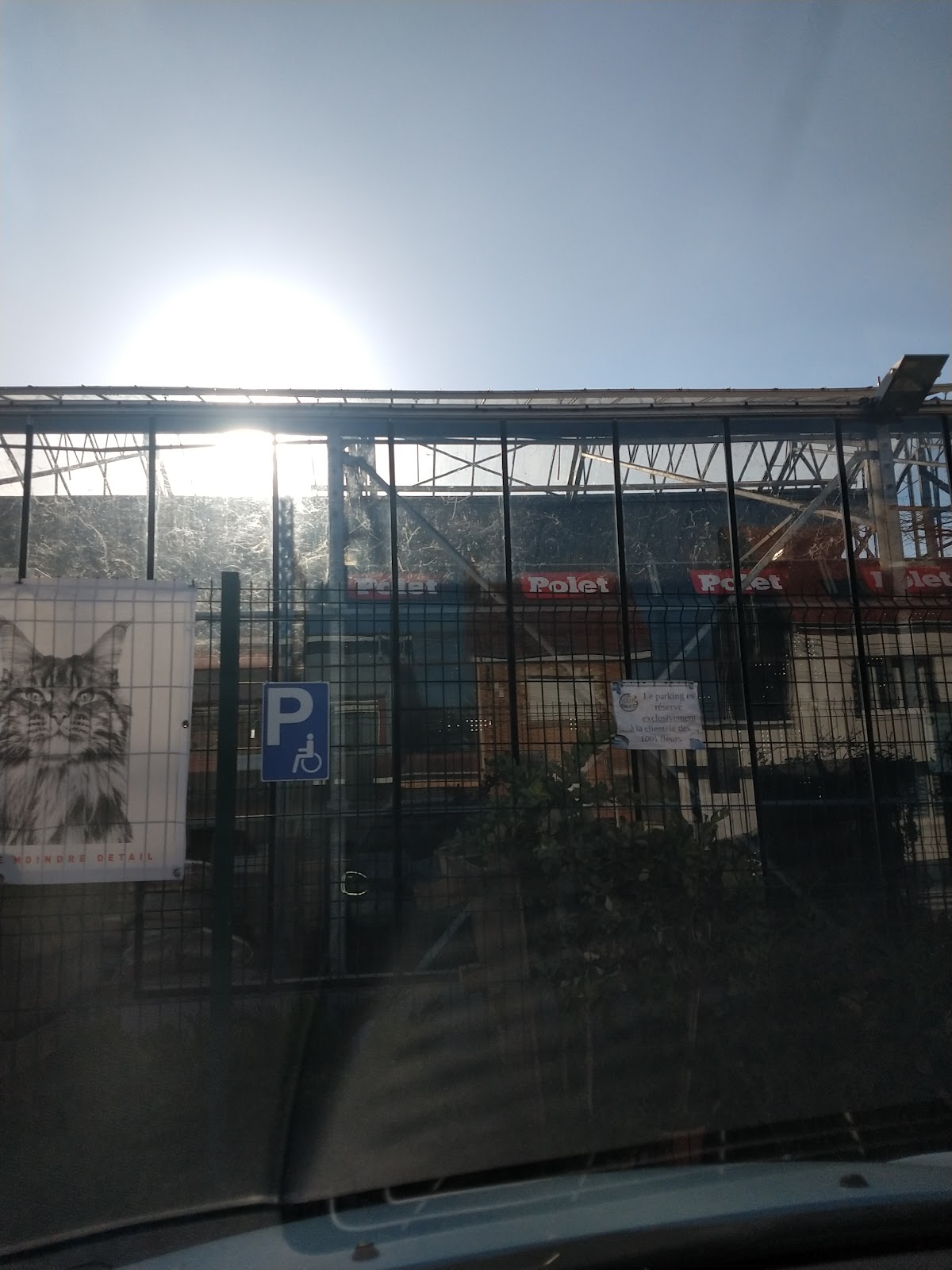 Les Mille et Une Fleurs