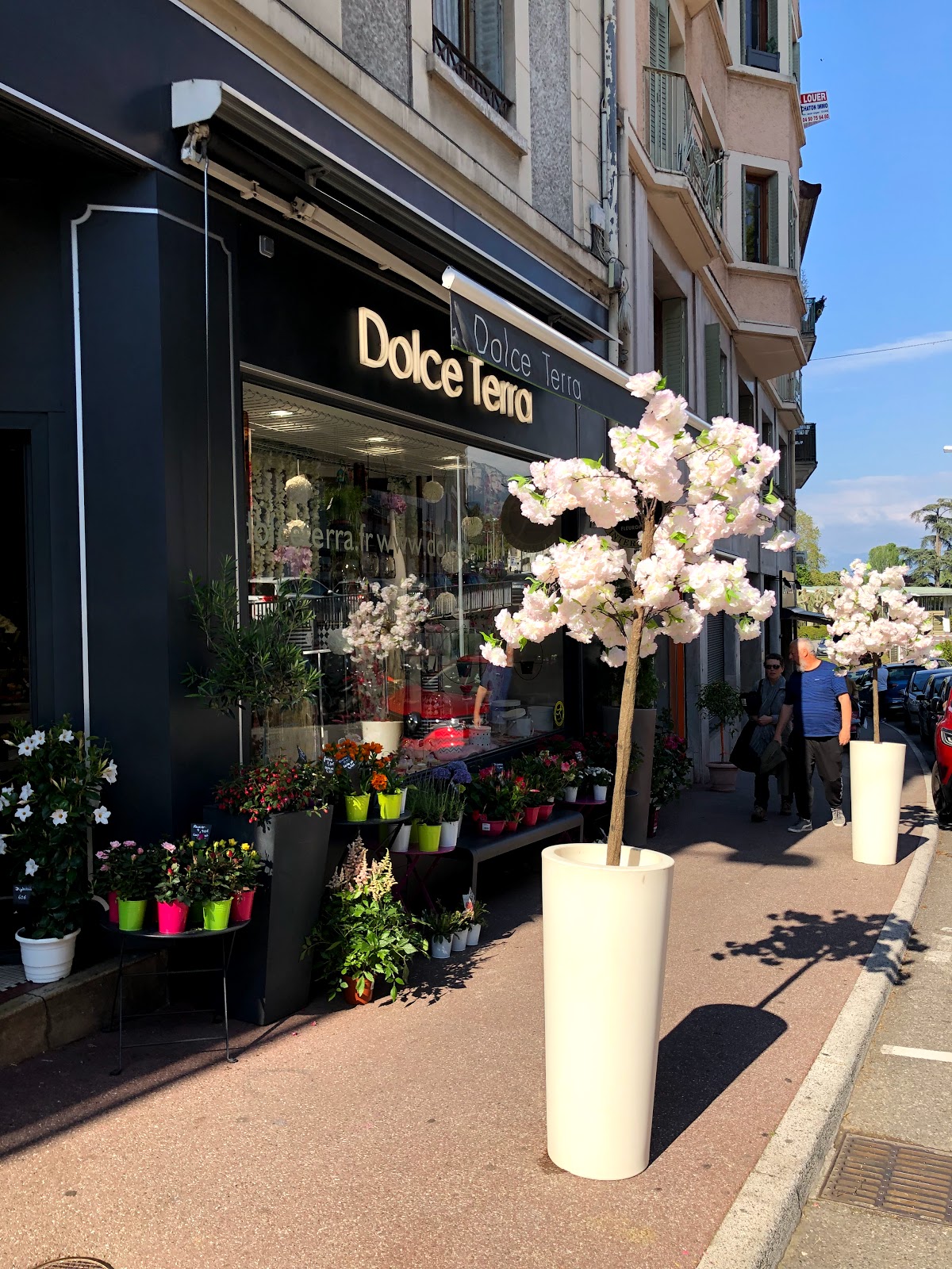 Dolce Terra - Fleurs & Design