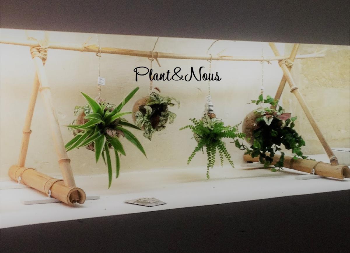 Plant&Nous