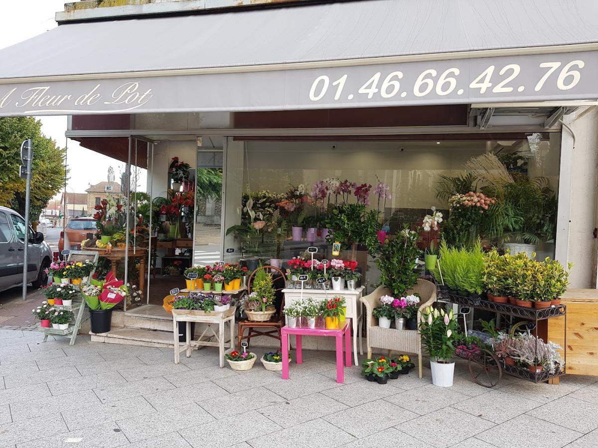 A Fleur de Pot INTERFLORA