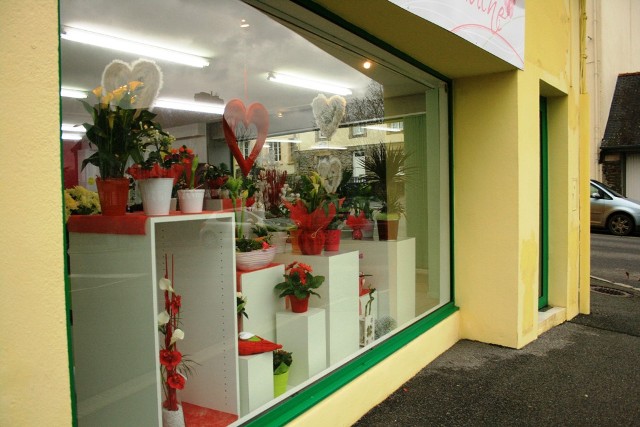 Aux Fleurs de l'Aulne