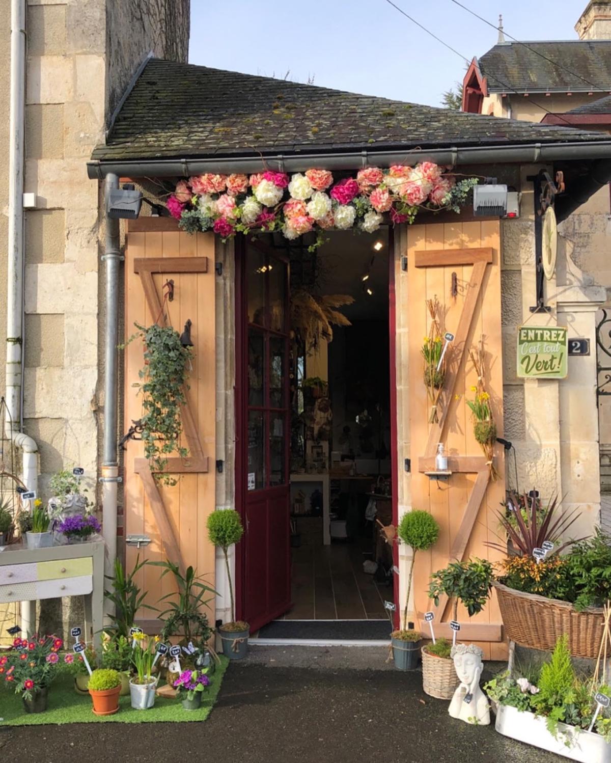 Les kokedamas de Sophie