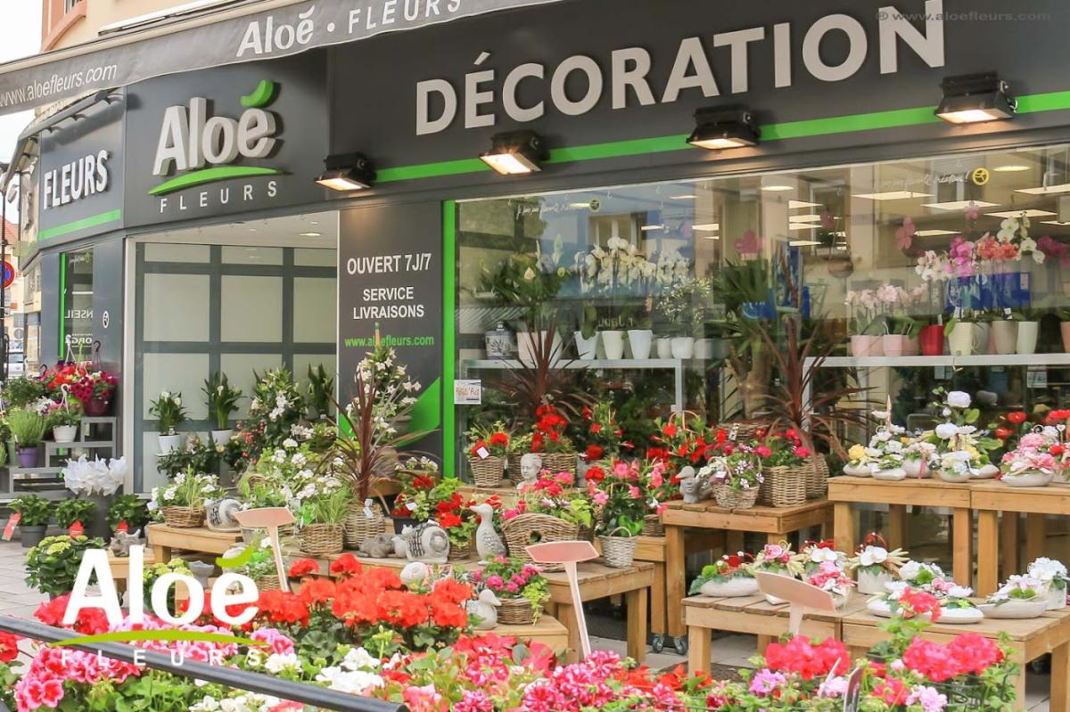 Aloé Fleurs Forbach