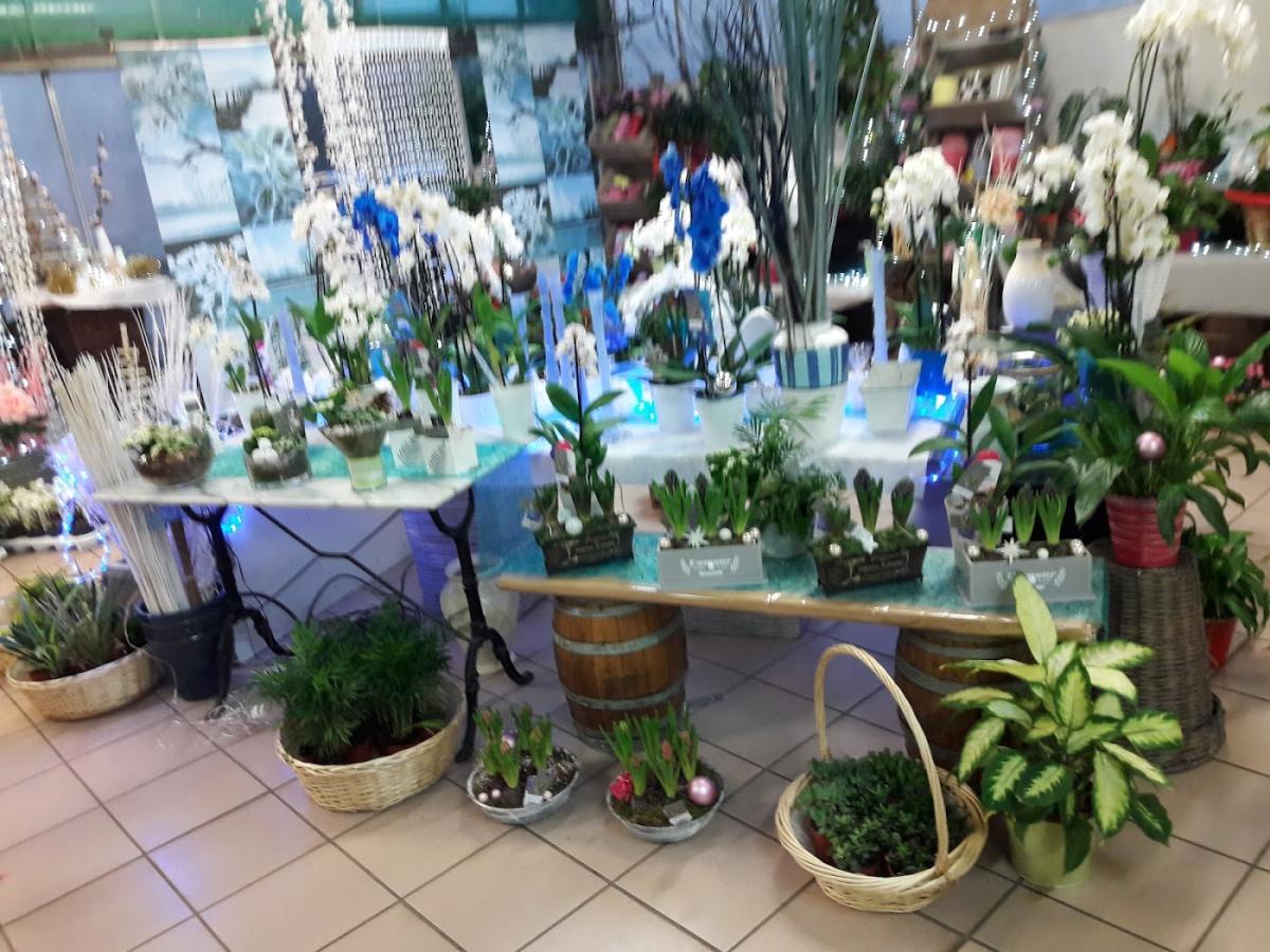 Chlorophylle, Fleuriste Montcornet