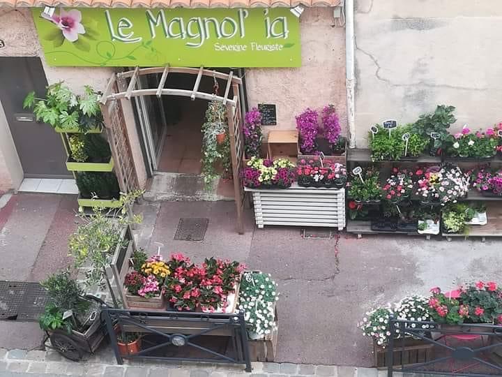 Le Magnol'ia, Fleuriste Saint Raphaël